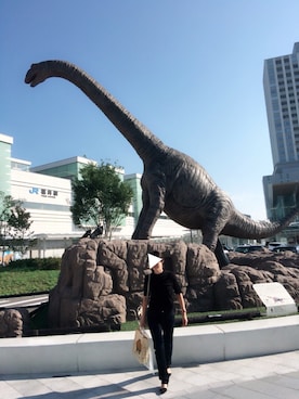 harukaさんのコーディネート