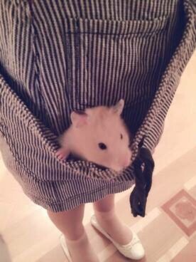 「NEW BRAND（ニューブランド）のアイテム」を使った、Karlovy さん（レディース・163cm）の冬コーディネート