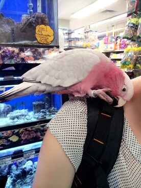 「NEW BRAND（ニューブランド）のアイテム」を使った、Karlovy さん（レディース・163cm）の春コーディネート