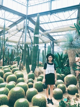 小君羊さんのコーディネート