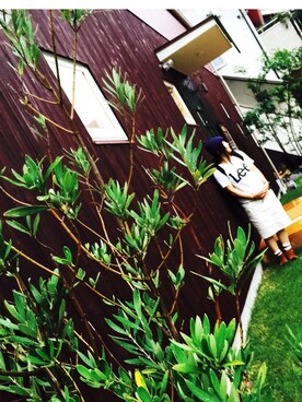 sana⑅◡̈*さんのコーディネート