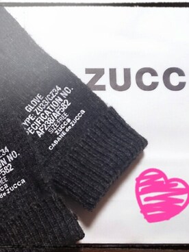 「CABANE de ZUCCa（カバンドズッカ）の手袋（手袋、グレー系）」を使った、さーこさん（レディース・156cm）の冬コーディネート