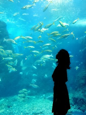 「水族館」｜「アイテム（その他）」を使った、YUiさん（レディース・157cm）の秋コーディネート