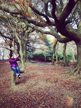 @iさんのコーディネート