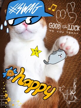 ZOEさんのコーディネート