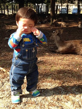 y-caさんのコーディネート