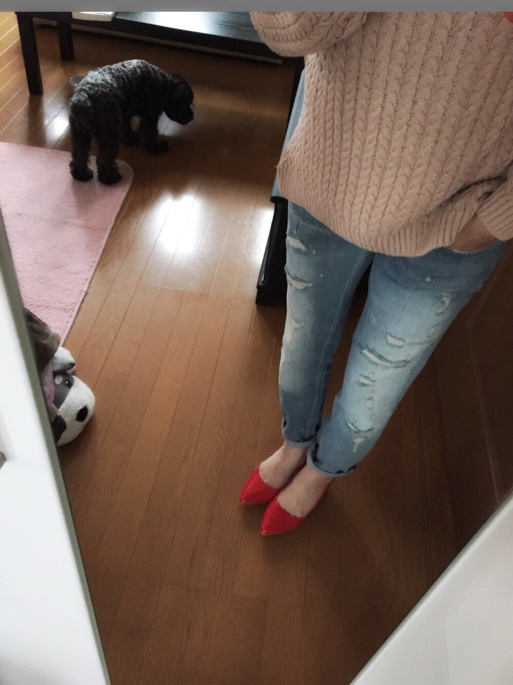 「ZARA、ダメージジーンズ、薄手ニット、パンプス、赤、ミニチュアシュナウザー」｜「ZARAのアイテム（ニット/セーター、ピンク系）」を使った、朱南**さん（レディース・156cm）の春コーディネートの1枚目の写真