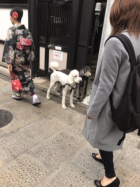 あーちゃんさんのコーディネート