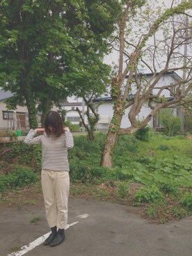 わ か いさんのコーディネート