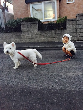 konatu さんのコーディネート