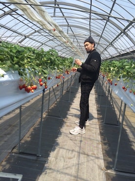 藤原 玲さんのコーディネート