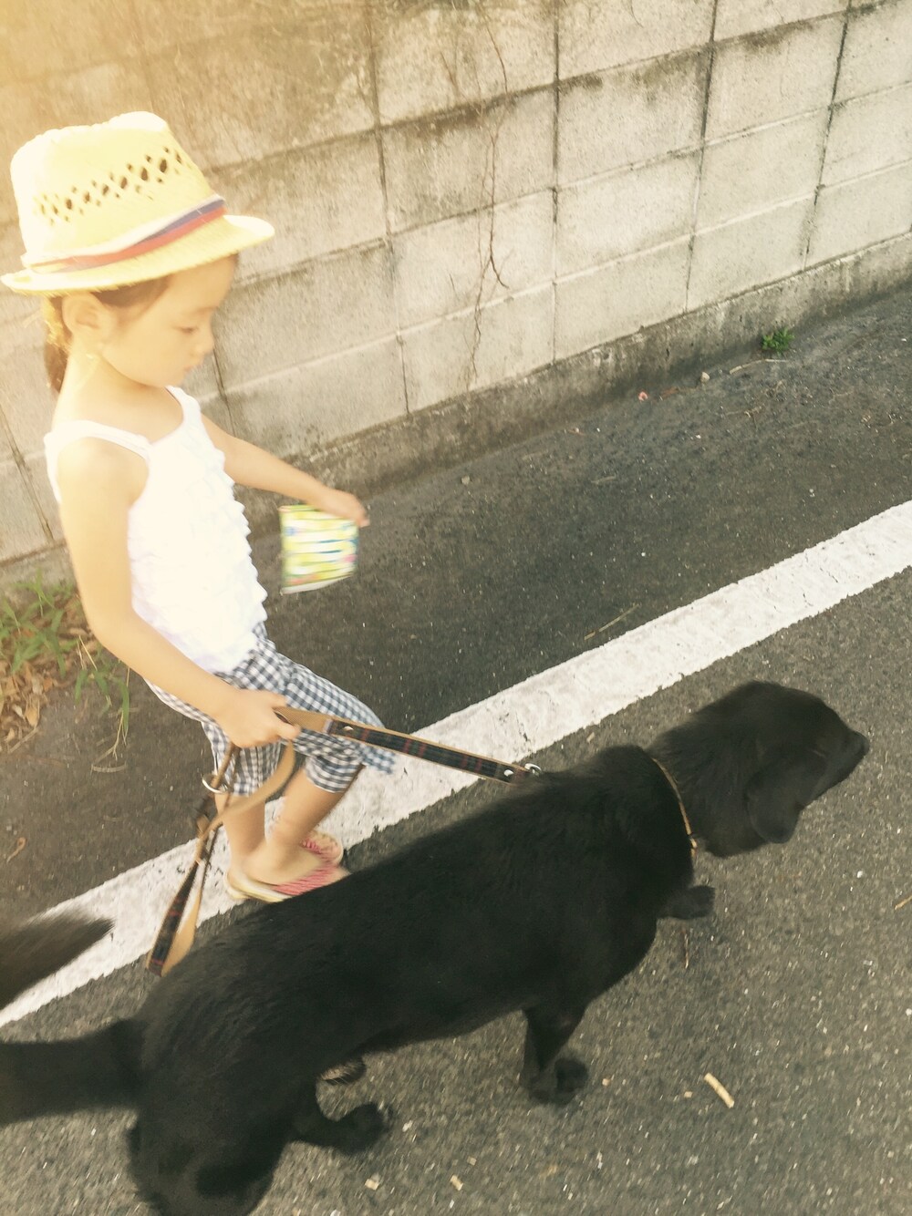 「ギンカムチェック、おさんぽコーデ、ハット、こどもコーデ、フリル、なつこーで、黒犬散歩、クロップドパンツ」｜「CHEROKEEのアイテム（キャミソール、ホワイト系）」を使った、grumpy さん（キッズ・110cm）の夏コーディネートの1枚目の写真