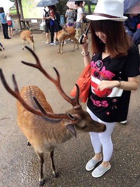 雨夜静静ACAさんのコーディネート