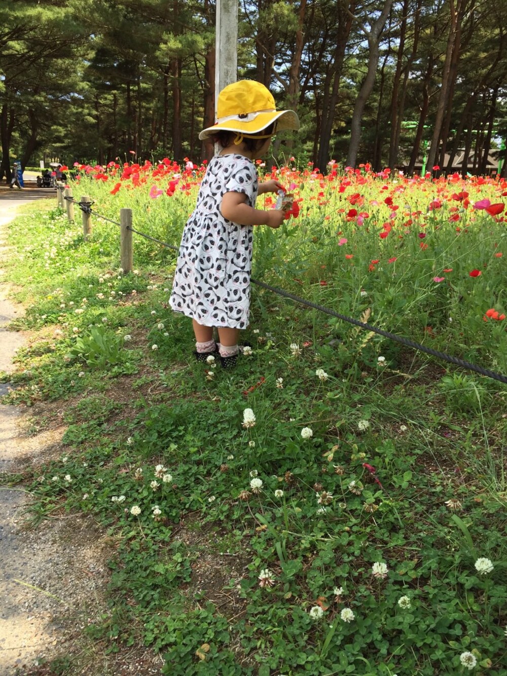 「パンダ、ひたちなか海浜公園、ピクニック」｜「H&Mのアイテム（ワンピース、ホワイト系）」を使った、h a k oさん（レディース・80cm）の夏コーディネートの1枚目の写真
