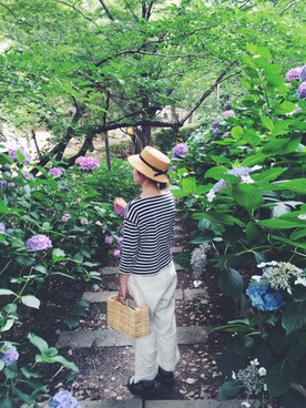 hanacoさんのコーディネート