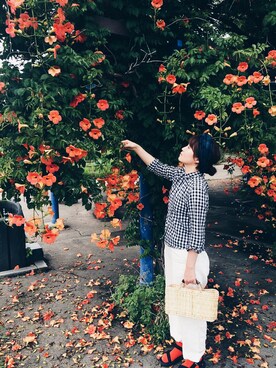 hanacoさんのコーディネート