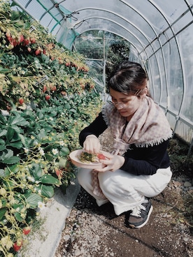 hanacoさんのコーディネート