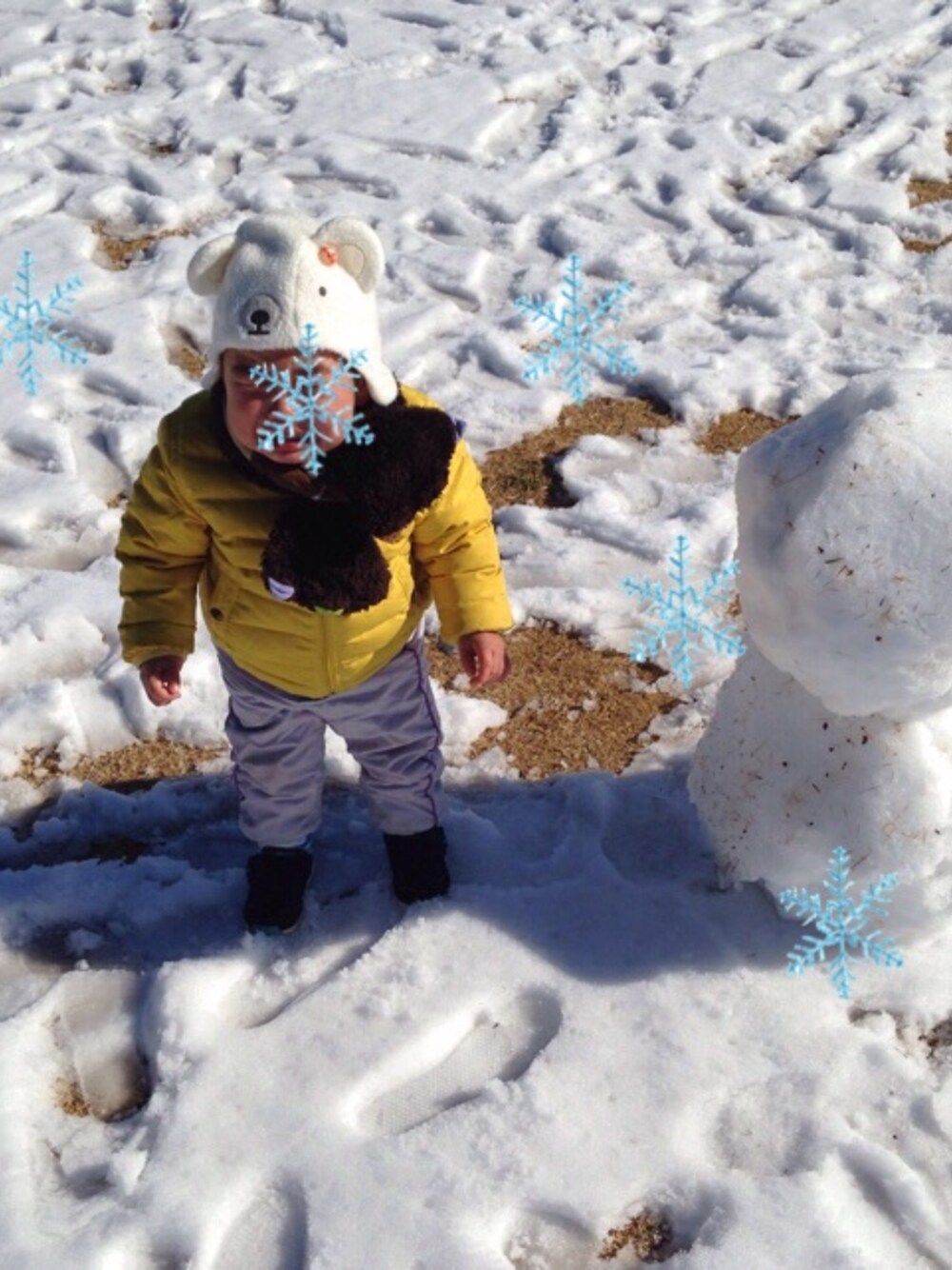 「パッツン前髪、雪、雪の日、UNIQLO、暖パン、ダウンジャケット、リバーシブル、しろくま、耳つき、フリマ」｜「UNIQLOのアイテム（その他パンツ、グレー系）」を使った、hacchanさん（キッズ・80cm）の冬コーディネートの1枚目の写真