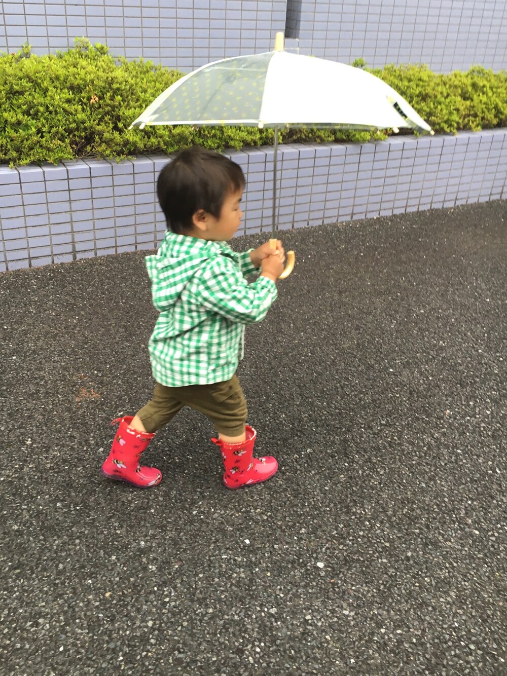 「kids、キッズファッション、雨の日コーデ、傘、長靴、てんとう虫、星柄」｜「MARKEY'Sのアイテム（長傘、イエロー系）」を使った、hacchanさん（キッズ・90cm）の春コーディネートの1枚目の写真