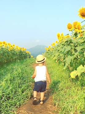 maaさんのコーディネート