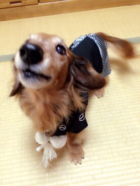 しずかさんのコーディネート