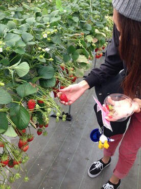 iさんのコーディネート