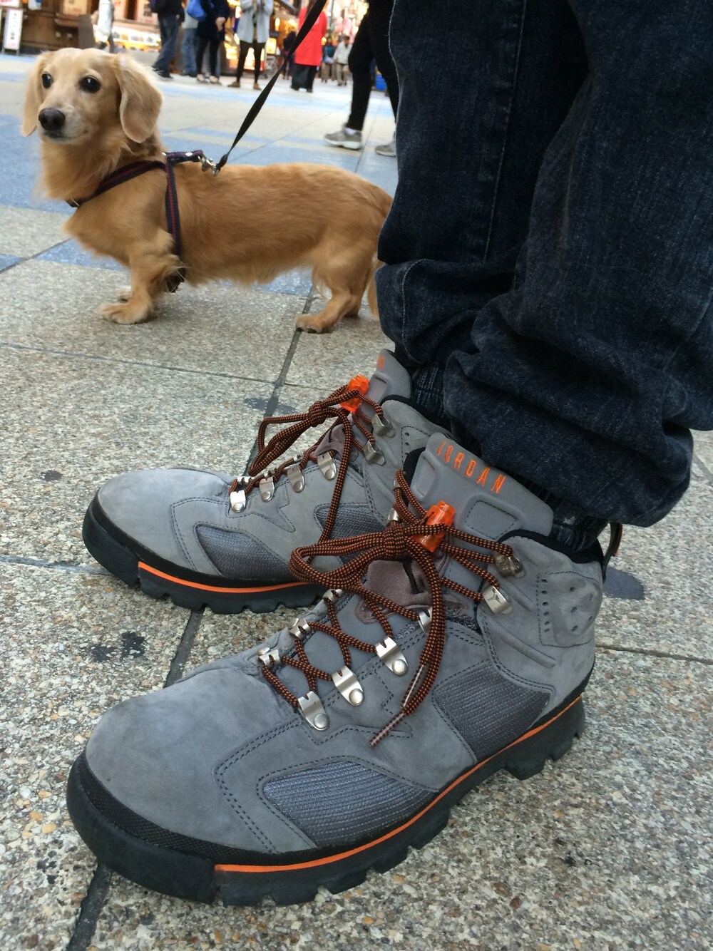 「NIKE、ナイキ、AIR JORDAN、AJ6、ジョガーパンツ、jogger pants、犬バカ部、犬、kicks」｜「NIKEのNIKE AIR JORDAN 6 boots 2006
cool grey/orange blaze
303897-002（スニーカー、グレー系）」を使った、利夫パパさん（メンズ・165cm）の秋コーディネートの1枚目の写真