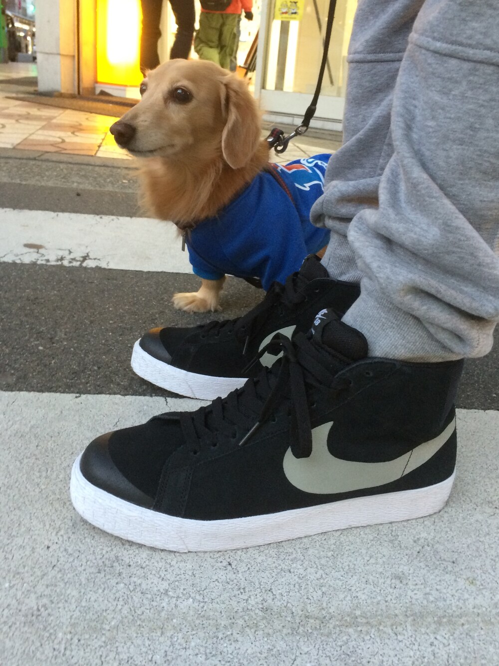 「NIKE、blazer、NikeSB、グレーのスウェットパンツ、スニーカー、犬、犬バカ部、H&M」｜「NIKEのNIKE SB BLAZER MID PREMIUM 631042-002（スニーカー、ブラック系）」を使った、利夫パパさん（メンズ・165cm）の冬コーディネートの1枚目の写真