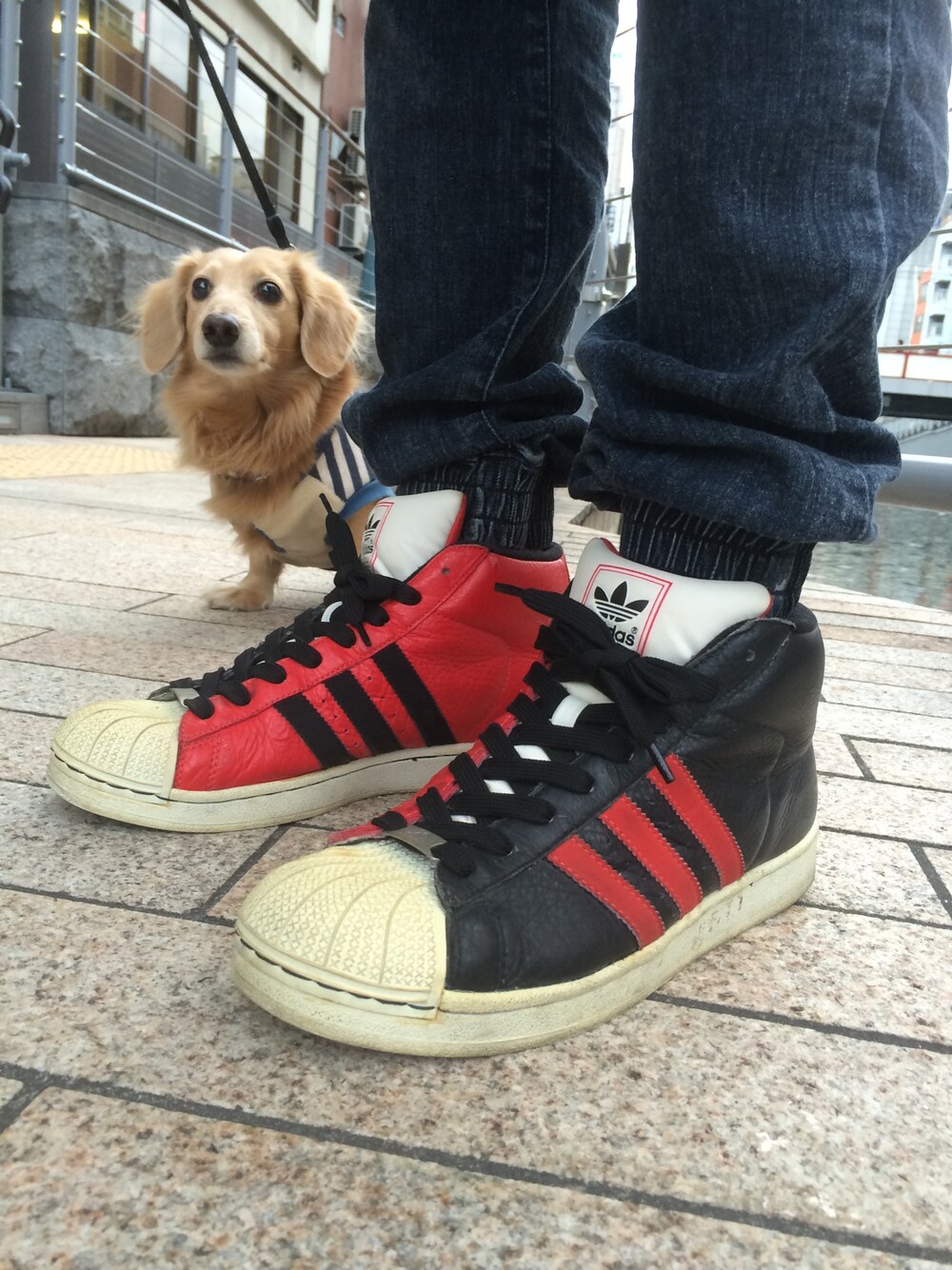 「adidas、promodel、kicks、スニーカー、ハイカットスニーカー、犬、犬バカ部、ジョガーパンツ」｜「adidasのadidas promodel spl 2003（スニーカー、レッド系）」を使った、利夫パパさん（メンズ・165cm）の冬コーディネートの1枚目の写真