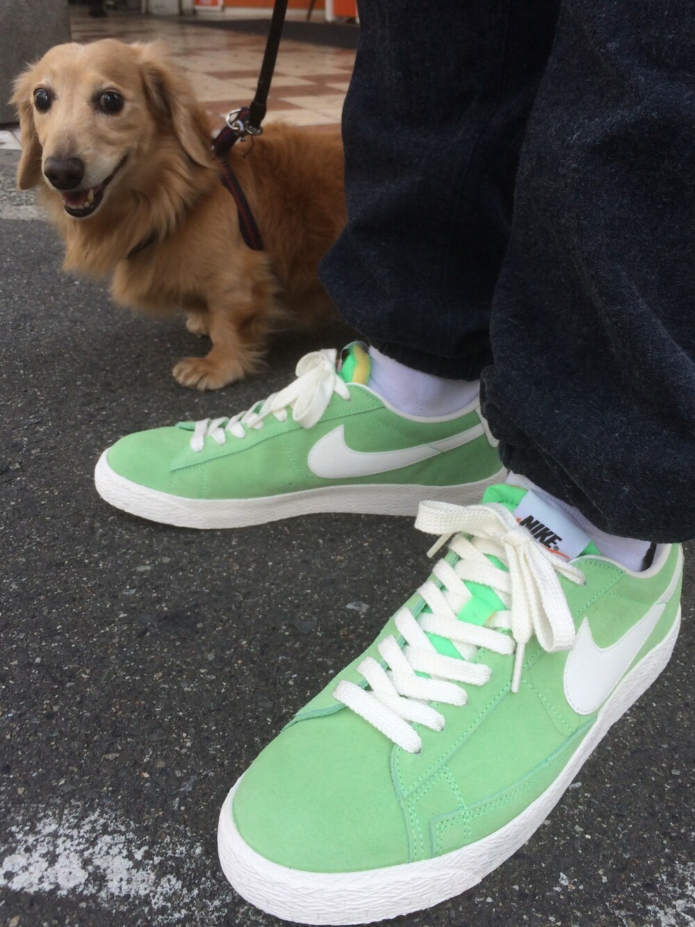「ナイキ、NIKE、blazer、ジョガーパンツ、GU、パステルカラー、犬、犬バカ部」｜「NIKEのNIKE BLAZER LOW（スニーカー、グリーン系）」を使った、利夫パパさん（メンズ・165cm）の春コーディネートの1枚目の写真