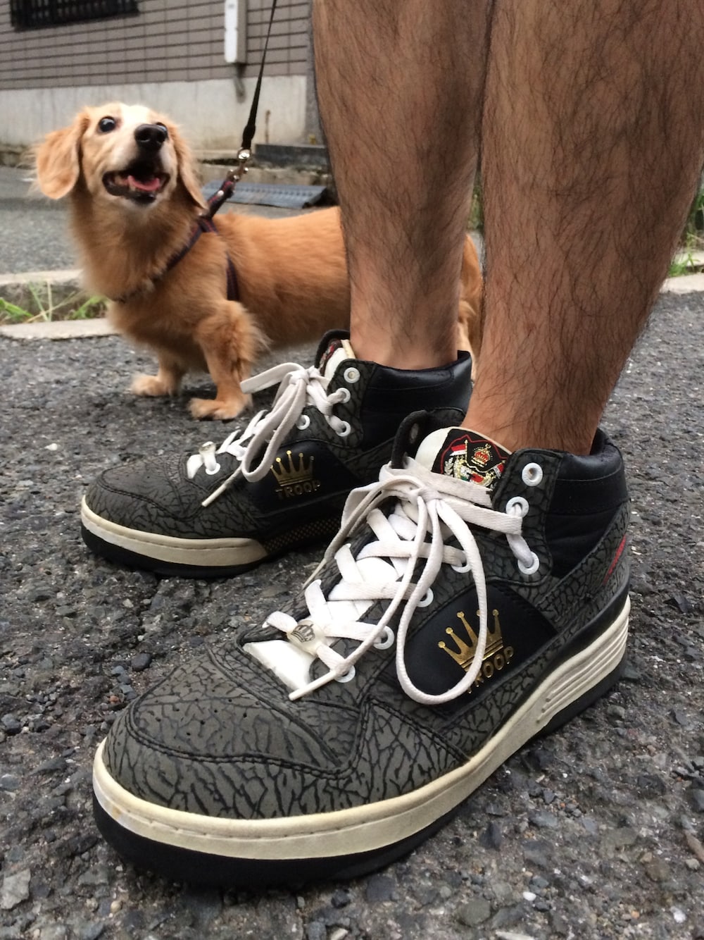 「90’s、world of troop、sneakers、kicks、スニーカー、犬、犬バカ部、セメント柄、足元くら部」｜「world of troopのアイテム（スニーカー、ブラック系）」を使った、利夫パパさん（メンズ・165cm）の夏コーディネートの1枚目の写真
