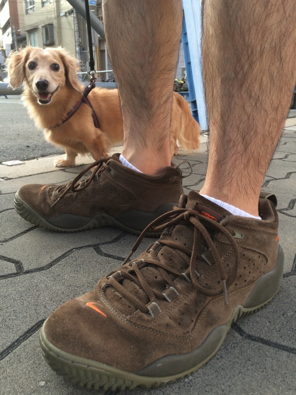「ナイキ、NIKE、kicks、スニーカー、足元くら部、犬、犬バカ部」｜「NIKEのアイテム（スニーカー、ブラウン系）」を使った、利夫パパさん（メンズ・165cm）の夏コーディネートの1枚目の写真
