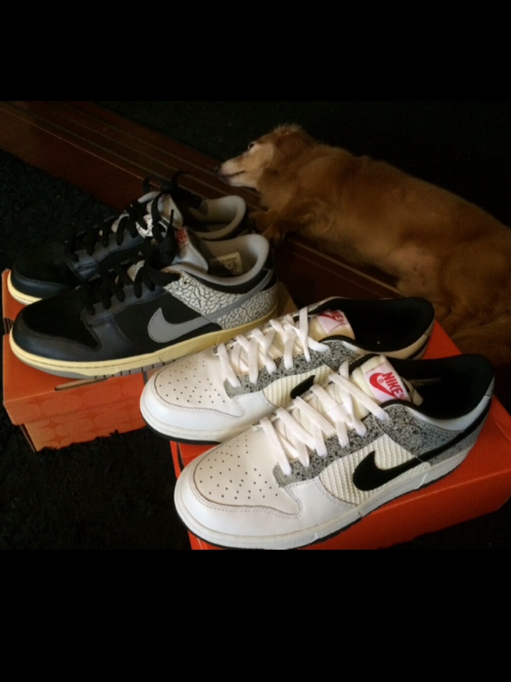「ナイキ、スニーカー、犬、犬バカ部、dunk、Jordan、ジョーダン、NIKE」｜「NIKEのNIKE DUNK CL JORDAN PACK（スニーカー、ホワイト系）」を使った、利夫パパさん（メンズ・165cm）の秋コーディネートの1枚目の写真