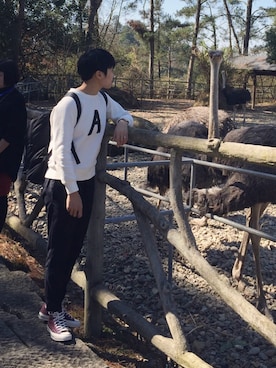 conqconqさんのコーディネート