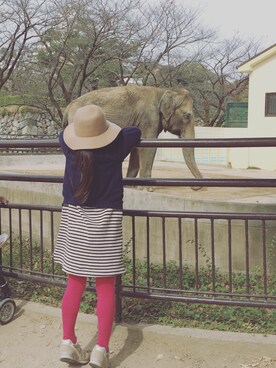 ikukuさんのコーディネート