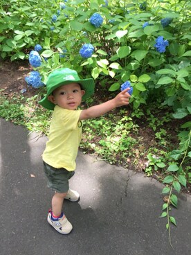 reiさん（キッズ・80cm）の夏コーディネート