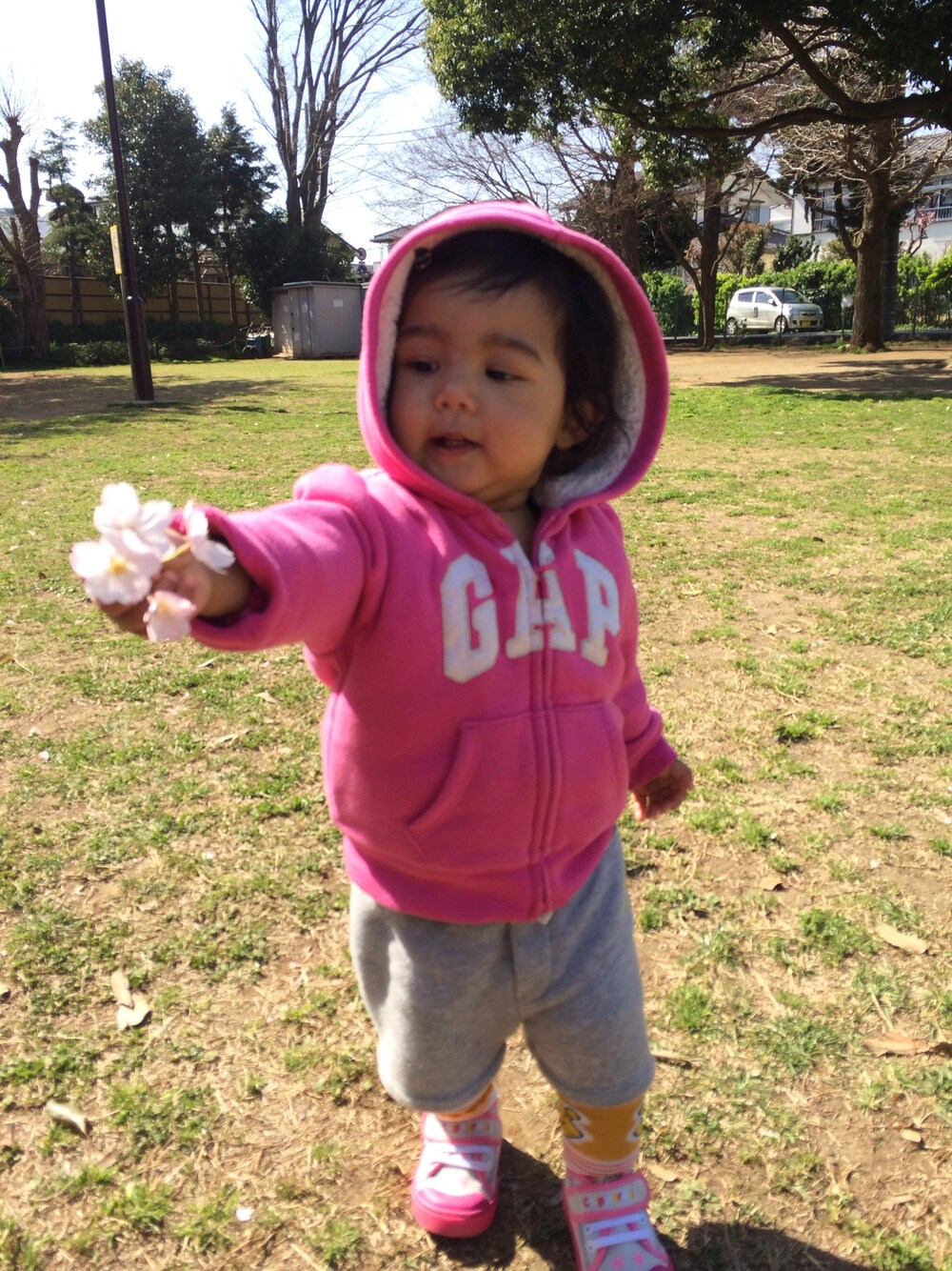 「sakura、桜、散歩、公園、あそび、キッズコーデ、こどもコーデ」｜「GAPのアイテム（パーカー、ピンク系）」を使った、juliさん（キッズ・80cm）の夏コーディネートの1枚目の写真
