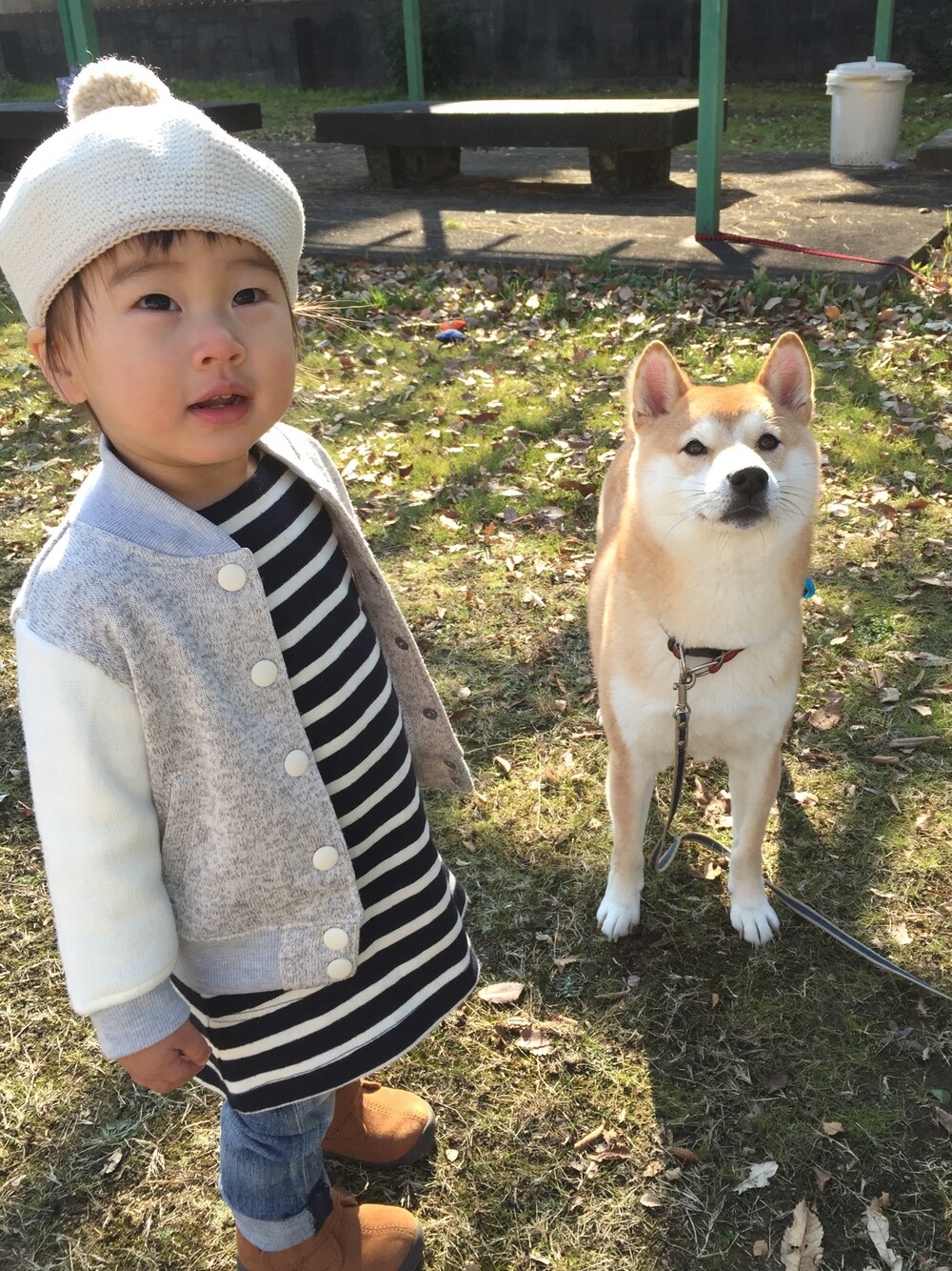 「柴犬、朝んぽ」｜「無印良品のアイテム（チュニック、ブルー系）」を使った、ki☺︎hoさん（キッズ・80cm）の冬コーディネートの1枚目の写真