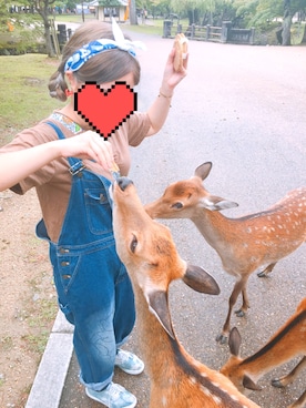 「VINTAGE（ヴィンテージ）のアイテム（カチューシャ）」を使った、megumimeiさん（レディース・154cm）の秋コーディネート