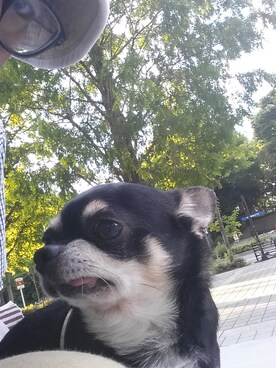 M.W.4さんのコーディネート