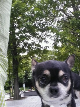 M.W.4さんのコーディネート