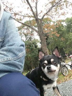 M.W.4さんのコーディネート