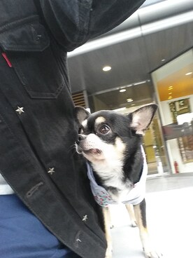 M.W.4さんのコーディネート