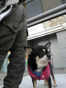 M.W.4さんのコーディネート