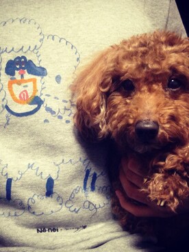 しんぺいさんのコーディネート