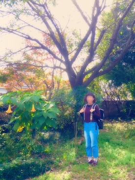 カフェオレさん（レディース・150cm）の秋コーディネート