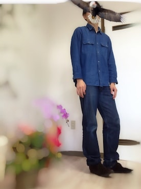 セミのぬけがらさんのコーディネート