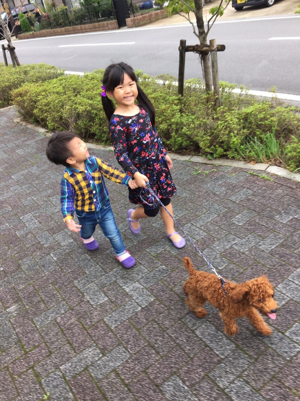 「おさんぽスタイル、トイプードル、キッズファッション」｜「OLD NAVYのアイテム（ワンピース、ブラック系）」を使った、りーとよーさん（キッズ・120cm）の秋コーディネートの1枚目の写真