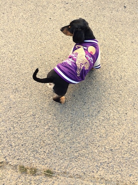 ふじたまるさんのコーディネート