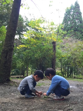 ただいおさんのコーディネート